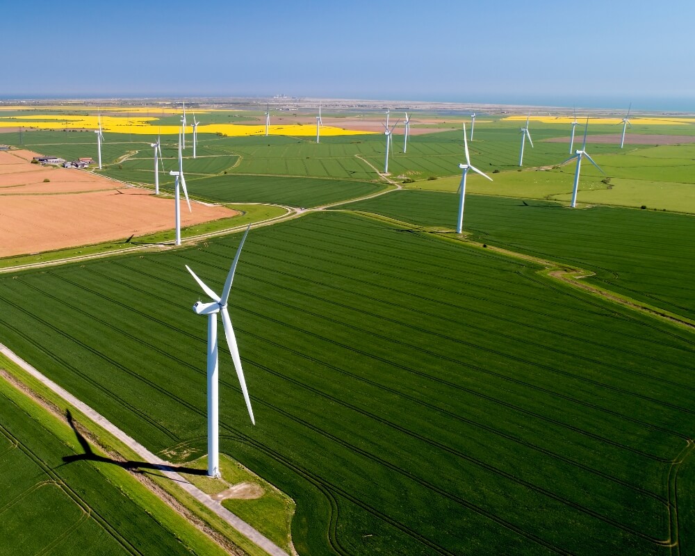 Luftaufnahme einer flachen grünen Landschaft mit vielen weißen Windrädern und gelben Rapsfeldern im Hintergrund