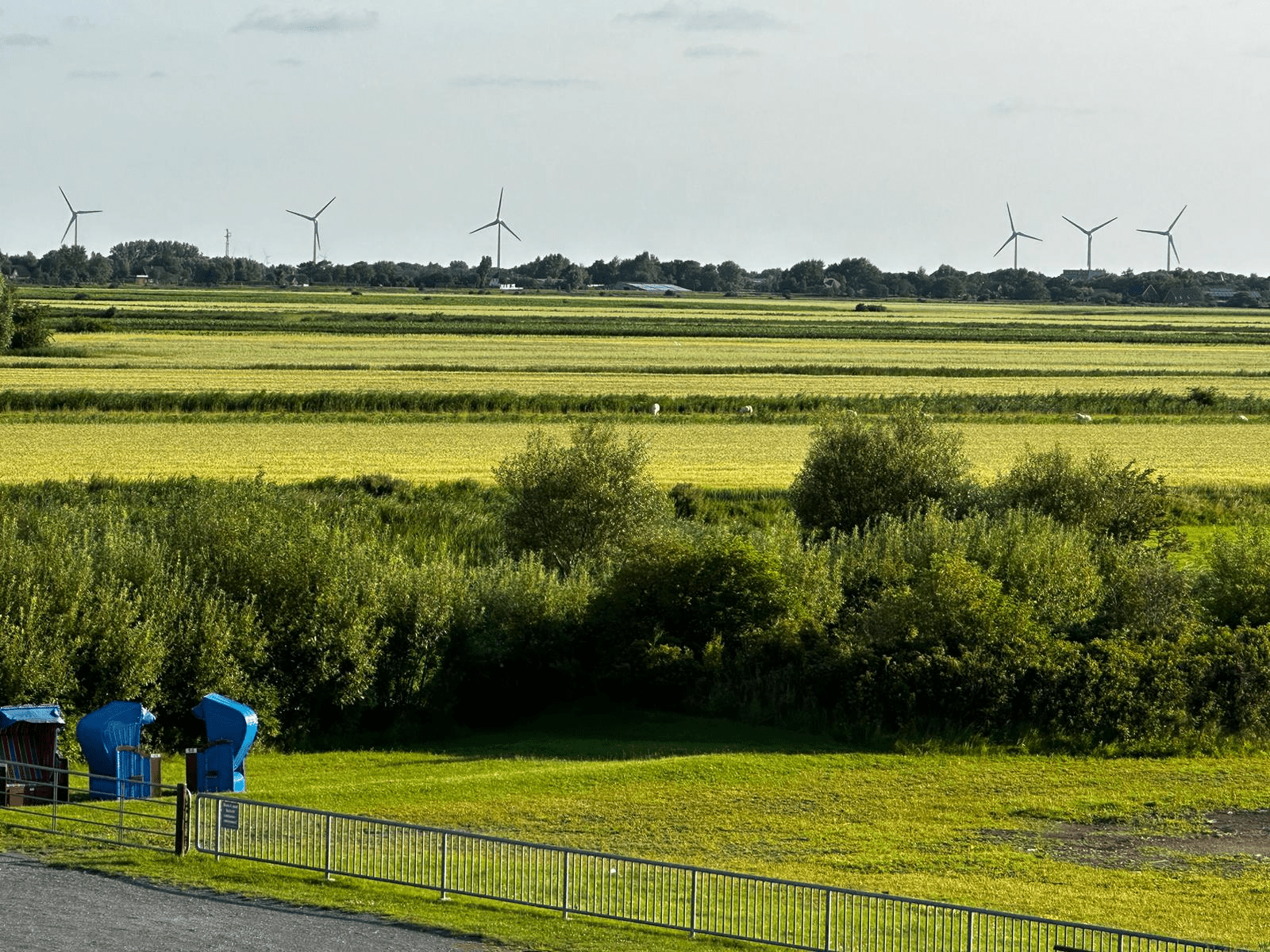 Grüne Landschaft von Pellworm mit sechs Windkraftanlagen am Horizont